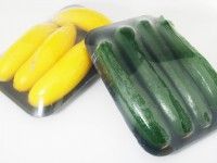 Calabacin-zucchini-hidropnico