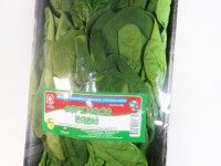 Espinaca-baby-Hidroponica