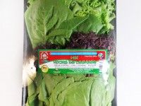 Mix-hojas-lechuga-Hidroponicas