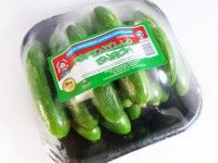 Pepinillo-snack-Hidroponico