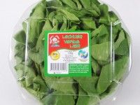 Verde-lisa-empaque-hidro