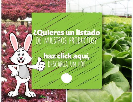 Descargar