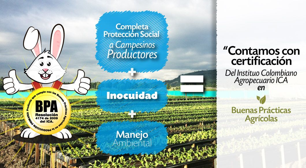 produccion
